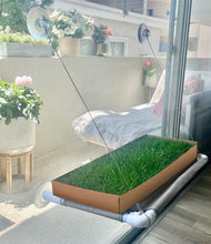 Load image into Gallery viewer, Kitty Lawn cat window perch with fresh grass pad mounted on a sunny window using suction cups.