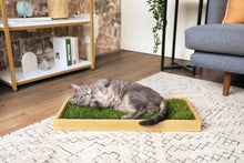 Load image into Gallery viewer, Gray tabby cat relaxing on a Kitty Lawn cat grass pad in a bamboo wooden sleeve in a modern living room.
